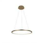 LOFT IT 10014M Светильник подвесной Ring, шт 10014M LOFT IT 10014M Светильник подвесной Ring, шт 10014M