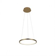 LOFT IT 10014S Светильник подвесной Ring, шт 10014S LOFT IT 10014S Светильник подвесной Ring, шт 10014S
