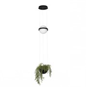 LOFT IT 10121/B Подвесной светильник Jardin, шт 10121/B LOFT IT 10121/B Подвесной светильник Jardin, шт 10121/B
