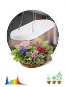 ЭРА Светильник для растений FITO-25W-QLED-FLY подвесной полного спектра 25 Вт Б0053062 ЭРА Светильник для растений FITO-25W-QLED-FLY подвесной полного спектра 25 Вт Б0053062