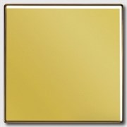 Выключатель одноклавишный, 10 А / 250 В~ Jung LS Gold Золото go2990