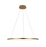 LOFT IT 10014L Светильник подвесной Ring, шт 10014L LOFT IT 10014L Светильник подвесной Ring, шт 10014L