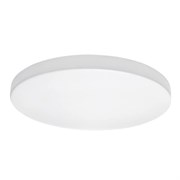 Lightstar Светильник накладной заливающего света со встроенными светодиодами Arco Lightstar 225202 225202