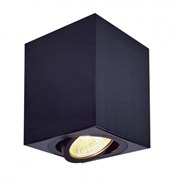 Citilux CL538213 Дюрен Черный Светильник Накладной CL538213 Citilux CL538213 Дюрен Черный Светильник Накладной CL538213