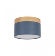 LOFT IT 10162 Blue Накладной светильник Grape, шт 10162 Blue LOFT IT 10162 Blue Накладной светильник Grape, шт 10162 Blue