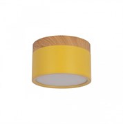 LOFT IT 10162 Yellow Накладной светильник Grape, шт 10162 Yellow LOFT IT 10162 Yellow Накладной светильник Grape, шт 10162 Yellow