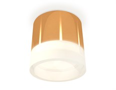 Ambrella Комплект накладного светильника с акрилом XS8121010 PYG/FR золото желтое полированное/белый матовый GX53 (C8121, N8401) XS8121010