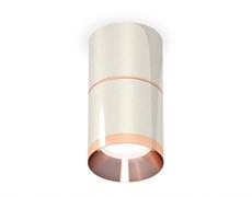 Ambrella Комплект накладного светильника XS7405081 PSL/PPG серебро полированное/золото розовое полированное MR16 GU5.3 (C7405, A2073, C7405, N7035) XS7405081 Ambrella Комплект накладного светильника XS7405081 PSL/PPG серебро полированное/золото розовое полированное MR16 GU5.3 (C7405, A2073, C7405, N7035) XS7405081