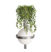 LOFT IT 10121W/B Dark grey Настенный светильник Jardin 10121W/B Dark grey LOFT IT 10121W/B Dark grey Настенный светильник Jardin 10121W/B Dark grey