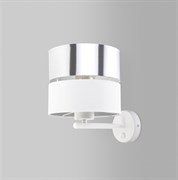 Eurosvet 4175 Светильник настенный Hilton Silver a049361