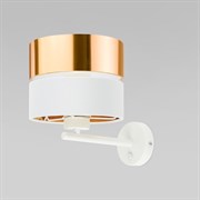 Eurosvet Настенный светильник 4770 Hilton Gold a062971