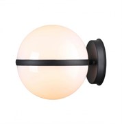 Odeon Light 4832/1W NATURE ODL21 563 черный/акрил Ландшафтный настенный светильник E27 1*10W IP44 LOMEO LOMEO 4832/1W Odeon Light 4832/1W NATURE ODL21 563 черный/акрил Ландшафтный настенный светильник E27 1*10W IP44 LOMEO LOMEO 4832/1W