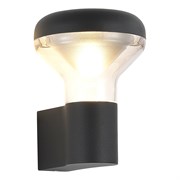 ST LUCE SL9541.701.01 Светильник настенный темно-серый/прозрачный LED 1*6W 3000K SL9541.701.01 ST LUCE SL9541.701.01 Светильник настенный темно-серый/прозрачный LED 1*6W 3000K SL9541.701.01