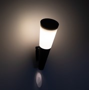 ЭРА Светильник уличный ЭРА ERAFS012-09 на солнечной батарее настенный Факел 1 LED Б0057596 ЭРА Светильник уличный ЭРА ERAFS012-09 на солнечной батарее настенный Факел 1 LED Б0057596