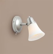 Citilux CL560511 Модерн Серебристый Светильник Наст.-Потол CL560511 Citilux CL560511 Модерн Серебристый Светильник Наст.-Потол CL560511