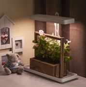 ЭРА FITO-20W-QLED-W Настольный светильник полного спектра Б0039034 ЭРА FITO-20W-QLED-W Настольный светильник полного спектра Б0039034