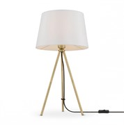 Freya Modern Sandy Латунь Настольная лампа FR5118TL-01BS