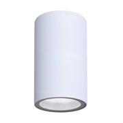 Arte Lamp A3302PF-1WH Уличный светильник MISTERO A3302PF-1WH Arte Lamp A3302PF-1WH Уличный светильник MISTERO A3302PF-1WH
