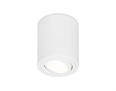 Ambrella Накладной поворотный точечный светильник TN225 WH белый GU5.3 D80*100 TN225 Ambrella Накладной поворотный точечный светильник TN225 WH белый GU5.3 D80*100 TN225