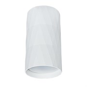 Arte Lamp A5557PL-1WH FANG Точечный накладной светильник GU10 A5557PL-1WH Arte Lamp A5557PL-1WH FANG Точечный накладной светильник GU10 A5557PL-1WH