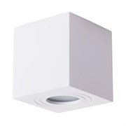 Arte Lamp A1461PL-1WH Galopin Точечный накладной светильник A1461PL-1WH Arte Lamp A1461PL-1WH Galopin Точечный накладной светильник A1461PL-1WH