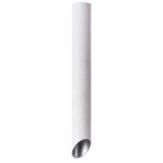 Arte Lamp A1537PL-1WH Pilon-Silver Точечный накладной светильник A1537PL-1WH Arte Lamp A1537PL-1WH Pilon-Silver Точечный накладной светильник A1537PL-1WH