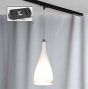 Lussole S.R.L Металл Хром /  Стекло трековый светильник однофазный E27 60W LSF-1106-01-TAB