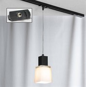 Lussole PROMO 2 Металл Хром / черный Стекло трековый светильник однофазный E14 40W LSC-2506-01-TAB