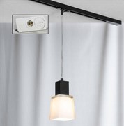 Lussole PROMO 2 Металл Хром / черный Стекло трековый светильник однофазный E14 40W LSC-2506-01-TAW