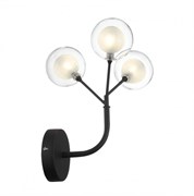 ST Luce SL376.401.03 Бра Черный/Прозрачный, Белый G4 LED 3*2W SL376.401.03 ST Luce SL376.401.03 Бра Черный/Прозрачный, Белый G4 LED 3*2W SL376.401.03