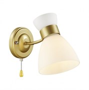 Lumion 4535/1W COMFI LN21 057 матовое золото Бра E27 1*60W 220V WILMA 4535/1W Lumion 4535/1W COMFI LN21 057 матовое золото Бра E27 1*60W 220V WILMA 4535/1W