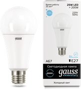 Лампа Gauss LED Elementary A67 25W E27 6500K 1/10/50