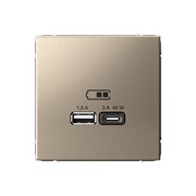 ArtGallery Шампань USB Розетка A + тип-C 45Вт высокоскоростная зарядка QC, PD, механизм GAL000529