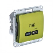 Glossa фисташковый USB розетка тип-C 65W высокоскоростная зарядка QC, PD, механизм GSL001027 Glossa фисташковый USB розетка тип-C 65W высокоскоростная зарядка QC, PD, механизм GSL001027