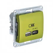 Glossa фисташковый USB розетка A + тип-C 45W высокоскоростная зарядка QC, PD, механизм GSL001029 Glossa фисташковый USB розетка A + тип-C 45W высокоскоростная зарядка QC, PD, механизм GSL001029