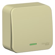 Blanca наружняя бежевый переключатель 1-клавишный (cх.6) с подсветкой, изолированная пластина 10А,250B BLNVA106117