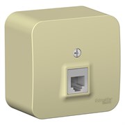 Blanca наружняя бежевый розетка телефонная RJ11 изолированная пластина BLNIA011007