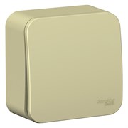 Blanca наружняя бежевый выключатель 1-клавишный (cх.1) с самовозвратом, изолированная пластина 10А BLNCA101017