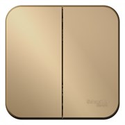 Blanca наружняя титан выключатель 2-клавишный 10А, 250B, изолированная пластина BLNVA105014