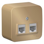 Blanca наружняя титан розетка 2-ая компьютерная RJ45, кат.5E, изол. пластина BLNIA045454