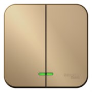 Blanca наружняя титан выключатель 2-клавишный с подсветкой, 10А, 250B BLNVA105104