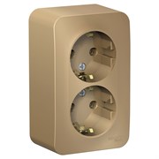 Blanca наружняя титан розетка 2-ая с заземлением, без шторок, 16А, 250В BLNRA010204