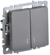IEK Brite Base сталь выключатель 2- клавишный с индик 10А BR-V20-1-10-K46