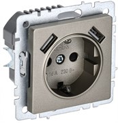 IEK Brite Base шампань розетка с заземлением и шторками, 16А с USB A+A 2,1А BR-R14-16-U21-D21-K37