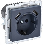 IEK Brite Base маренго розетка с заземлением и шторками, 16А с USB A+A 2,1А BR-R14-16-U21-D21-K35