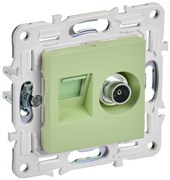 IEK SKANDY Мятный Розетка двойная TV+RJ45 кат.6E SK-A15G SK-AK20-2-K06