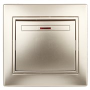 Intro Выключатель Plano 1-102-04 одноклавишный с подсветкой, 10А-250В, IP20, СУ, шампань Б0053732