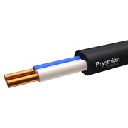 Кабель силовой с ПВХ изоляцией ВВГ-Пнг(А) -LS 2x1,5 ок(N) ч РЭК-Prysmian 1602040106 Кабель силовой с ПВХ изоляцией ВВГ-Пнг(А) -LS 2x1,5 ок(N) ч РЭК-Prysmian 1602040106