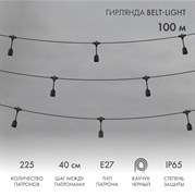 Гирлянда Belt-Light 2 жилы, 100м, шаг 40см, 225 подвесныx патронов Е27, IP65, черный круглый провод NEON-NIGHT 331-231 Гирлянда Belt-Light 2 жилы, 100м, шаг 40см, 225 подвесныx патронов Е27, IP65, черный круглый провод NEON-NIGHT 331-231
