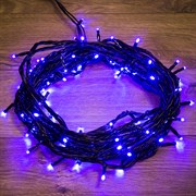 NEON-NIGHT Гирлянда "Твинкл Лайт" 10 м, черный ПВХ, 100 диодов, цвет синий 303-133 NEON-NIGHT Гирлянда "Твинкл Лайт" 10 м, черный ПВХ, 100 диодов, цвет синий 303-133